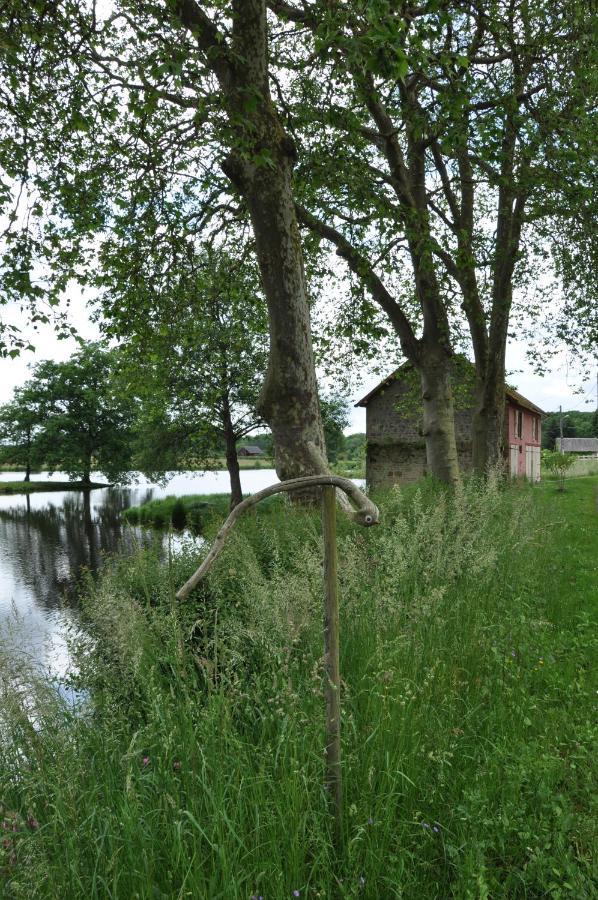 Le Champ Radis Marigny-sur-Yonne