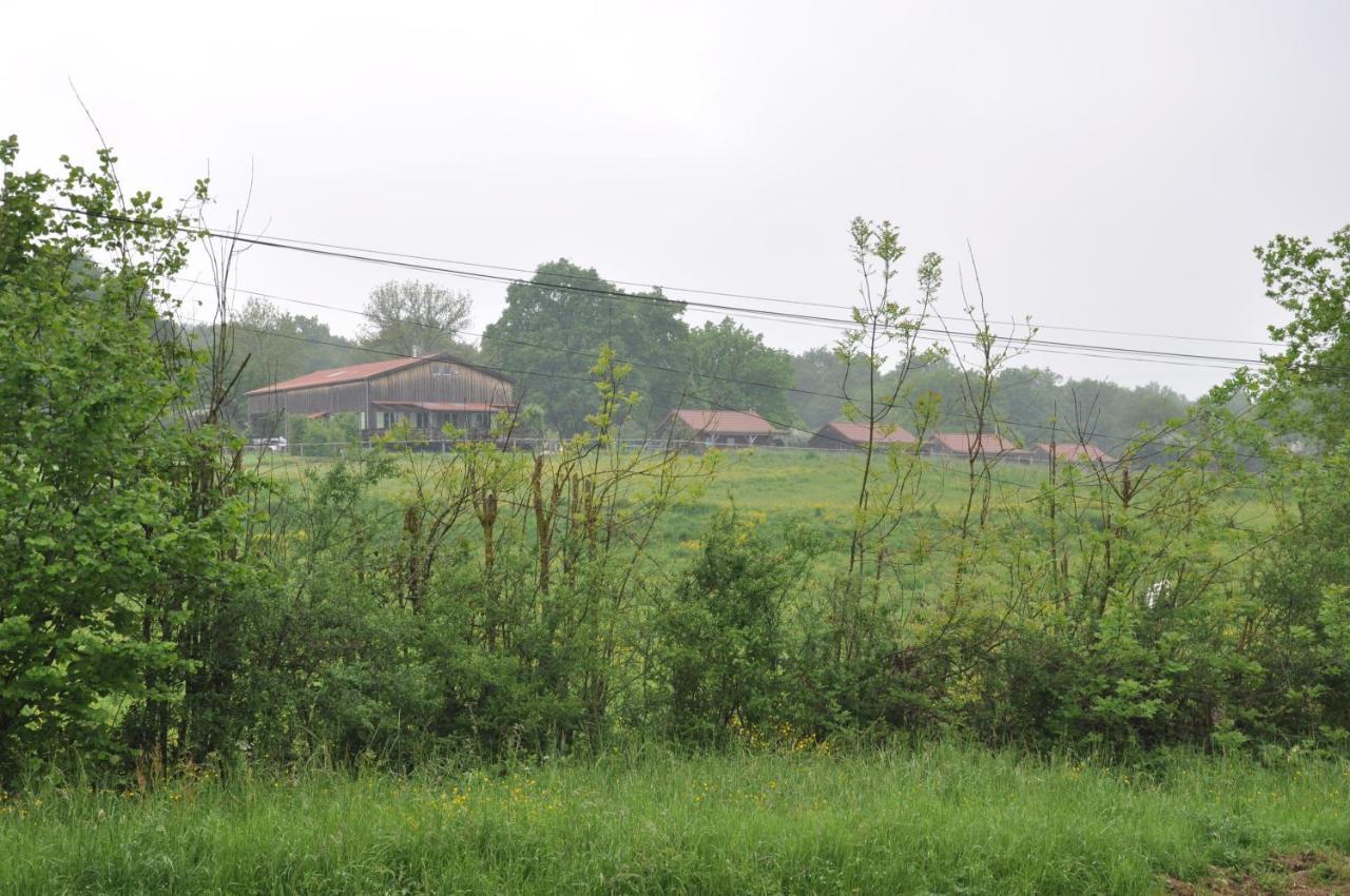 Chalet Le Champ Radis Marigny-sur-Yonne
