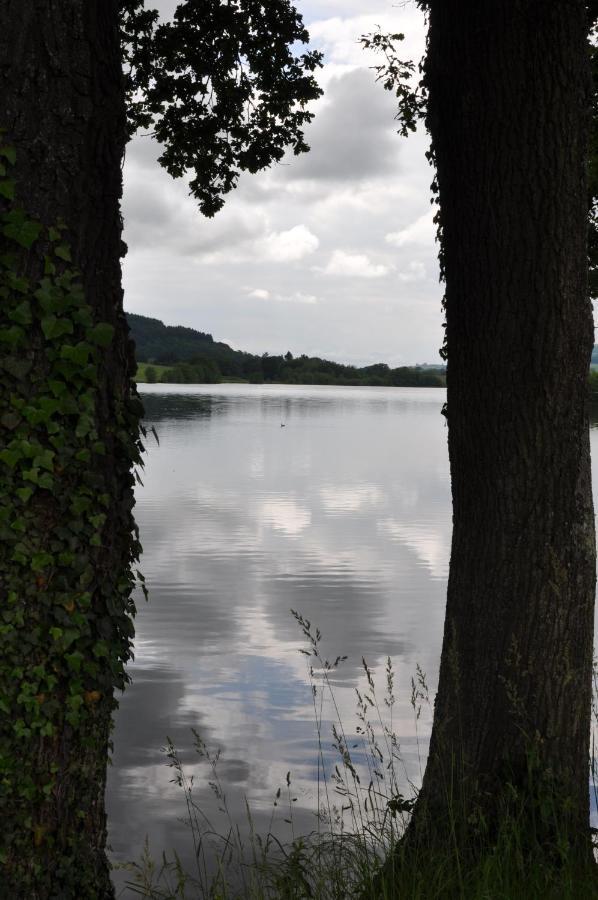 Le Champ Radis * Marigny-sur-Yonne